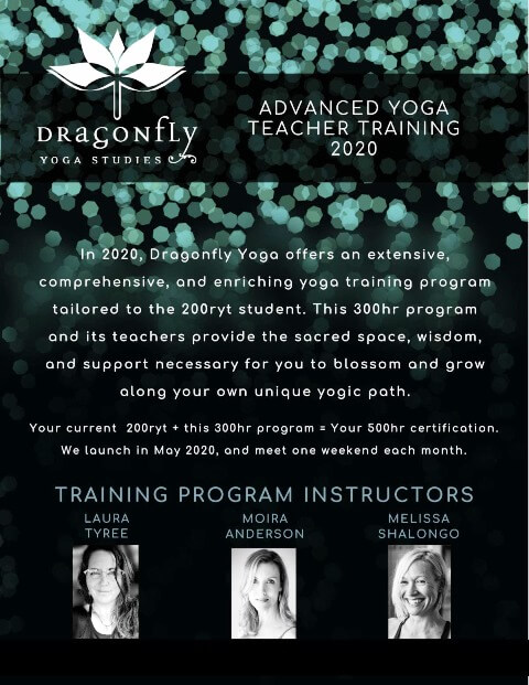 dragonfly yoga studio aytt 2020 new dates